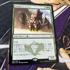 ⭐︎フォロワー割開催中⭐︎ MTG / 砂草原のマストドン