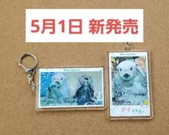 鳥羽水族館 限定 大 マグネット マグネット ラッコ メイ キラ お誕生日
