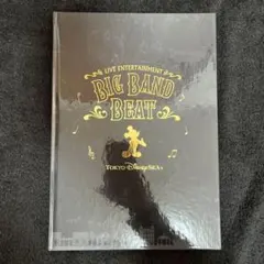 BIG BAND BEAT フォトブック　写真集 2017年2月9日発売「ビックバンドビートのフォトブック」紹介