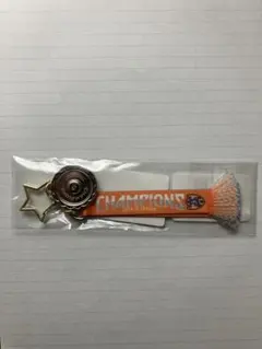 清水エスパルス J2優勝記念 シャーレ風 チャーム付き マフラー キーホルダー