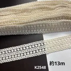 デザインレース約13m