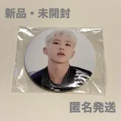 SEVENTEEN セブチ ホシDREAM POPUP ポプスト 缶バッジ