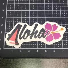 a218【4枚まで300円】防水ステッカー Aloha アロハ ハイビスカス