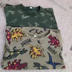 恐竜柄半袖シャツ2枚セット