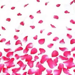 キスマイ Kis-My-Ft2 グッズ マフラータオル