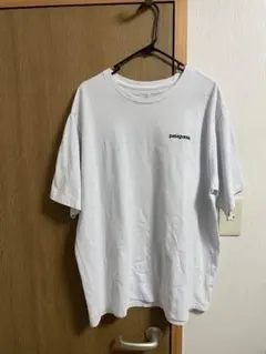 patagonia ホワイト 半袖Tシャツ　レギュラーフィット