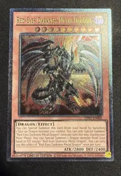 ゆ*m様 遊戯王 ドイツ語 レッドアイズ・ダークネスメタルドラゴン