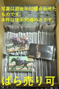 ライスシャワー まねき馬カード No.489 箔押しサイン 開封品 - メルカリ
