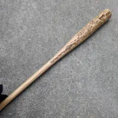 Item thumbnail for item b78d78fd-dd2e-43b3-bd2e-df8c8ecc883a