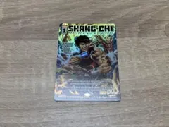 mtg カンフーの達人、シャン・チー 英語 ボーダーレス foil マーベル