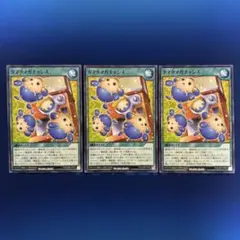 タマタマガチャンス　ノーパラ 3枚セット