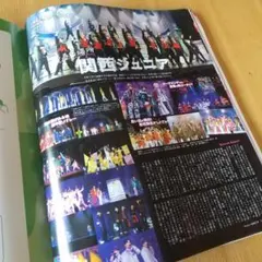 Item thumbnail for item 3157ad64-21e6-4882-9142-b9893a5451e9