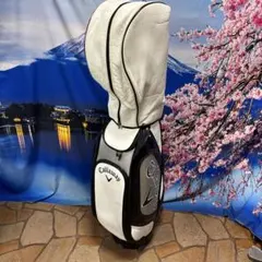 寶BAA-37 PAR72 キャディバッグ スタンド式 カラーボールおまけ付き