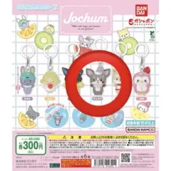 JOCHUM ジェオチャム チュララ めじるしアクセサリー