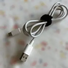 Item thumbnail for item 155be471-e7b1-4924-baaf-cd5faa3e068d