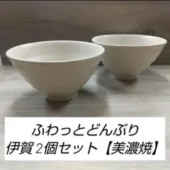 ふわっとどんぶり 伊賀 2個セット【美濃焼】のサムネイル