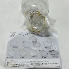 【正規品】うちの子のけだまだま C-pla ペテモ限定 プードル