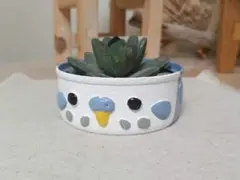 リメイク缶　セキセイインコ