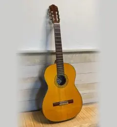 2026年最新】FERNANDES GC 20の人気アイテム - メルカリ