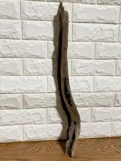 Item thumbnail for item 72ee8a0f-a6af-4b72-a207-e56ad42ba03d