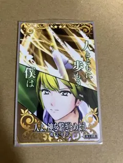 イナズマイレブン 亜風炉照美 ライセンスカード アフロディー - メルカリ