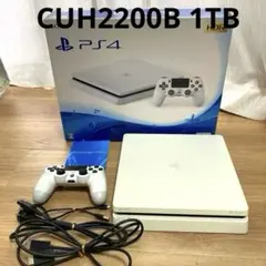 PlayStation 4 CUH2200B 1TB 箱付き