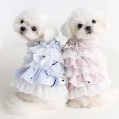 【新品】可愛い♡フラワーチュチュワンピース　犬服　ドッグウェア　S M