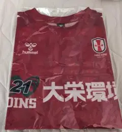 2026年最新】INAC神戸レオネッサの人気アイテム - メルカリ