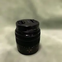 パナソニックルミックス G VARIO 14-42mm/F3.5-5.6 IIのサムネイル