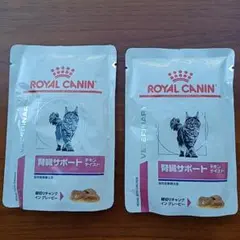 Item thumbnail for item 743d727b-c952-4106-a219-aa18c4a72dae