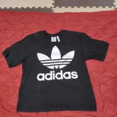 Item thumbnail for item bd0cbd18-b0e1-4a66-9f24-5c0a7fa3407a