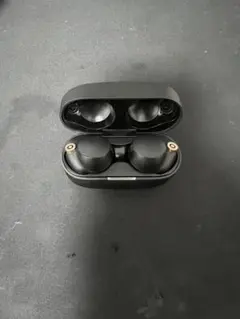 Item thumbnail for item 312d691b-0ca1-41bb-83bc-ecbadb572b77