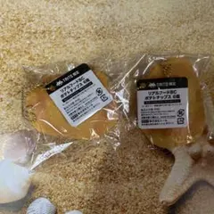 リアルフードBC ポテトチップス