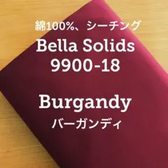 Item thumbnail for item a2111eac-668f-4271-b555-1cc6f56bafd3