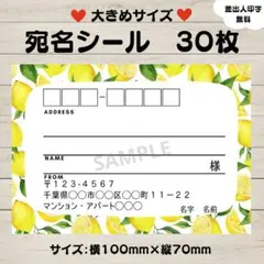宛名シール　レモン③　檸檬　フルーツ　大きめサイズ　30枚