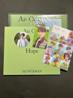 SEVENTEEN AnOde　スングァン