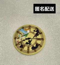 ディズニー　刺繍缶バッジ2　ピーターパン ティンカーベル