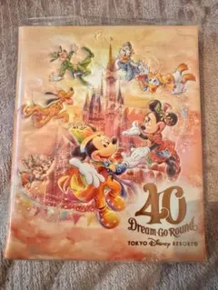 【未開封】ディズニー　スーベニアメダルケース