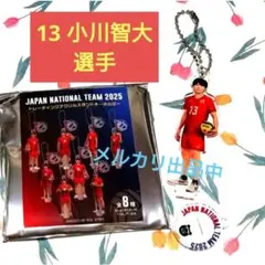 ネーションズリーグ 2025 佐藤淑乃 アクリルスタンドキーホルダー