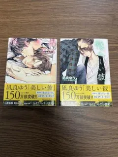 美しい彼 憎らしい彼 文庫 2冊セット