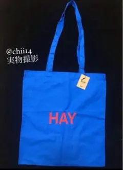 Item thumbnail for item 8b65f65c-1daa-43ad-95e4-56248bae96d1