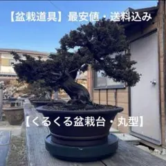 2026年最新】回転台 盆栽の人気アイテム - メルカリ
