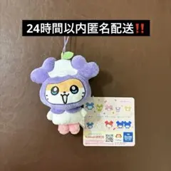 2025年最新】twice gigo サナの人気アイテム - メルカリ