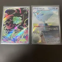 2026年最新】フシギダネARの人気アイテム - メルカリ