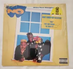 Item thumbnail for item 8c305167-7c3c-4ed0-a99f-ee9514cef8b1