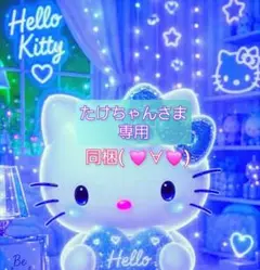 たけちゃんさま 専用
