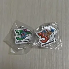 ポケモン30周年 メタルチャームマスコット リザードン フシギバナ セット