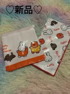 Item thumbnail for item 3c49c2f6-7f49-481e-b5e8-0b0629fc74ad