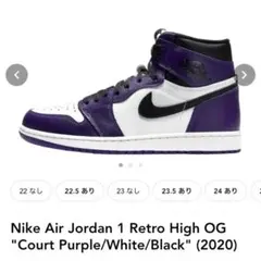 Nike Air Jordan 1 Retro High OGコートパープル