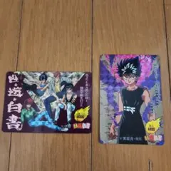 幽☆遊☆白書 カードダス ２枚セット